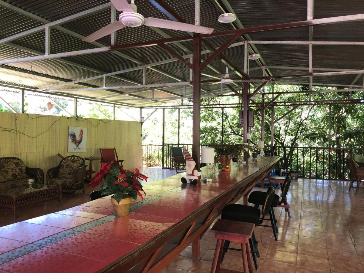 Toucan House Coco Luaran gambar